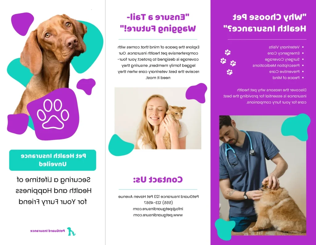 Assurance vétérinaire pour chien : Comment protéger la santé de votre compagnon à quatre pattes ?