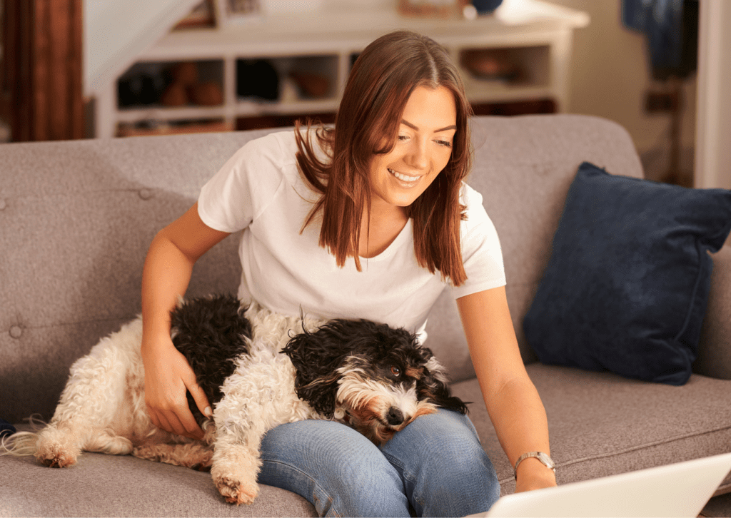 assurance chien